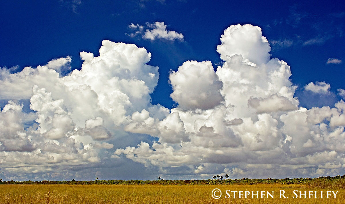 Building Thunderstorm over Everglades